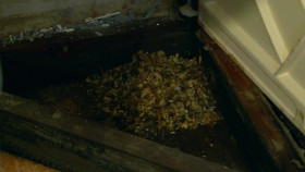 Help We Bought A Village S03E28 1080p WEB H264-CBFM EZTV