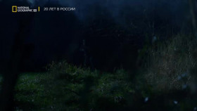 Hitlers Last Stand S03E02 Falaise Trap XviD-AFG EZTV