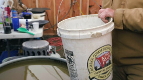 Hoffman Family Gold S01E04 Jack Attack 1080p HEVC x265-MeGusta EZTV