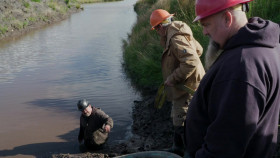 Hoffman Family Gold S03E03 720p AMZN WEB-DL DDP2 0 H 264-NTb EZTV