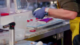 Holiday Wars S06E01 1080p WEB h264-FREQUENCY EZTV