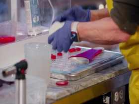 Holiday Wars S06E01 480p x264-mSD EZTV