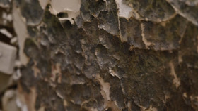 Holmes Family Rescue S02E01 1080p HEVC x265-MeGusta EZTV