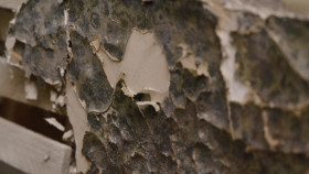 Holmes Family Rescue S02E01 1080p WEB h264-EDITH EZTV