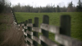 Home Before Dark S02E03 XviD-AFG EZTV