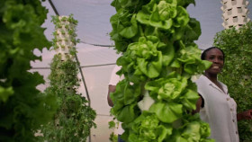 Homegrown 2020 S04E04 XviD-AFG EZTV