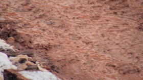 Homestead Rescue S11E08 XviD-AFG EZTV