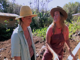 Homestead Rescue S12E06 480p x264-mSD EZTV