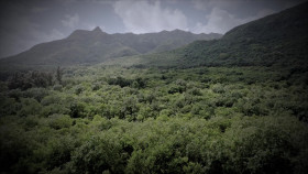 Homestead Rescue S12E11 1080p WEB h264-FREQUENCY EZTV