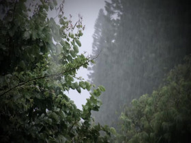 Homestead Rescue S12E11 480p x264-mSD EZTV