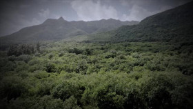 Homestead Rescue S12E11 XviD-AFG EZTV