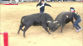 Hometown Stories S07E14 Bullfights and Big Dreams 1080p HDTV H264-DARKFLiX EZTV