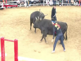 Hometown Stories S07E14 Bullfights and Big Dreams 480p x264-mSD EZTV