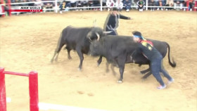 Hometown Stories S07E14 Bullfights and Big Dreams 720p HDTV x264-DARKFLiX EZTV
