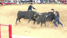 Hometown Stories S07E14 Bullfights and Big Dreams XviD-AFG EZTV