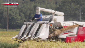 Hometown Stories S10E22 Reviving a Fukushima Brewery 1080p HDTV H264-DARKFLiX EZTV