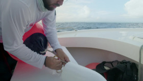 Hope in the Water S01E01 The Fish in the Sea 1080p AMZN WEB-DL DDP2 0 H 264-NTb EZTV