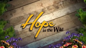 Hope in the Wild S02E08 A Day in the Life of Lily WEB x264-LiGATE EZTV