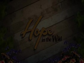 Hope in the Wild S02E19 A Few Furry Friends 480p x264-mSD EZTV
