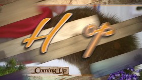 Hope in the Wild S02E19 A Few Furry Friends 720p WEB x264-LiGATE EZTV