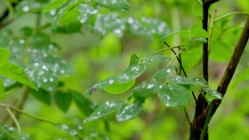 House Hunters S253E00 Anchoring Down in Sitka 1080p WEB h264-FREQUENCY EZTV