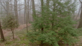 House Hunters S253E08 Haunted in Cleveland 1080p HEVC x265-MeGusta EZTV