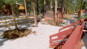 House Hunters S257E01 From Van Life to Fam Life XviD-AFG EZTV