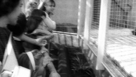 How Disney Built America S01E06 1080p WEB h264-EDITH EZTV