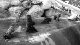 How Disney Built America S01E06 XviD-AFG EZTV