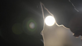 How I Caught My Killer S01E08 720p WEB h264-KOGi EZTV