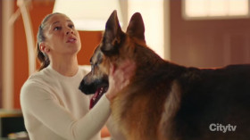 Hudson and Rex S07E05 720p HEVC x265-MeGusta EZTV