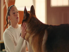 Hudson and Rex S07E05 In From The Cold 480p x264-mSD EZTV