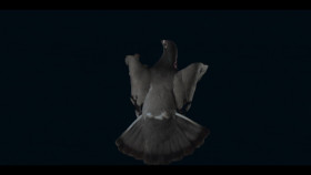 Human Playground S01E06 1080p WEB h264-KOGi EZTV