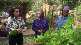 Hungry For Answers S01 720p DSCP WEBRip AAC2 0 x264-squalor EZTV