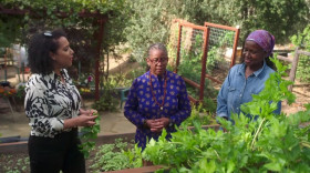 Hungry For Answers S01 WEBRip x264-ION10 EZTV