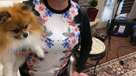 I Love a Mamas Boy S01 1080p WEBRip AAC2 0 x264-B2B EZTV