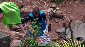 Im A Celebrity Get Me Out Of Here S19E21 HDTV x264-LiNKLE EZTV