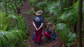 Im a Celebrity Get Me Out of Here S23E03 1080p WEB h264-POPPYCOCK EZTV