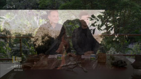 Im A Celebrity Get Me Out Of Here S24E01 1080p HDTV H264-DARKFLiX EZTV