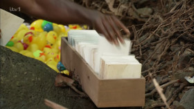 Im A Celebrity Get Me Out Of Here S24E09 1080p HEVC x265-MeGusta EZTV