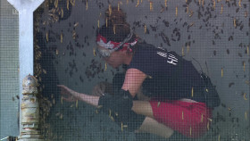 Im A Celebrity Get Me Out Of Here S24E10 1080p HDTV H264-DARKFLiX EZTV