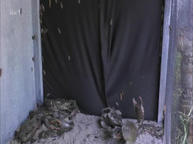 Im A Celebrity Get Me Out Of Here S24E10 480p x264-mSD EZTV