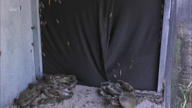 Im A Celebrity Get Me Out Of Here S24E10 720p HEVC x265-MeGusta EZTV