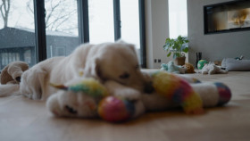 Ingebrigtsen Born to Run S01E04 1080p WEB h264-EDITH EZTV