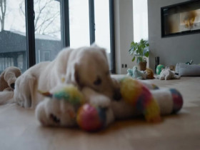 Ingebrigtsen Born to Run S01E04 480p x264-mSD EZTV