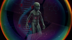 Initiation With Matias De Stefano S02E03 720p WEB h264-SKYFiRE EZTV