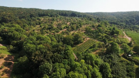 Inside the Enchanted Forests S01E02 1080p WEB h264-EDITH EZTV