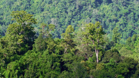 Inside the Enchanted Forests S01E04 1080p WEB h264-EDITH EZTV