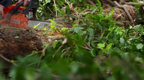 Instant Dream Home S01 PORTUGUESE WEBRip x264-ION10 EZTV