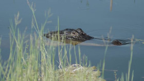 Interrogation Raw S01E05 XviD-AFG EZTV